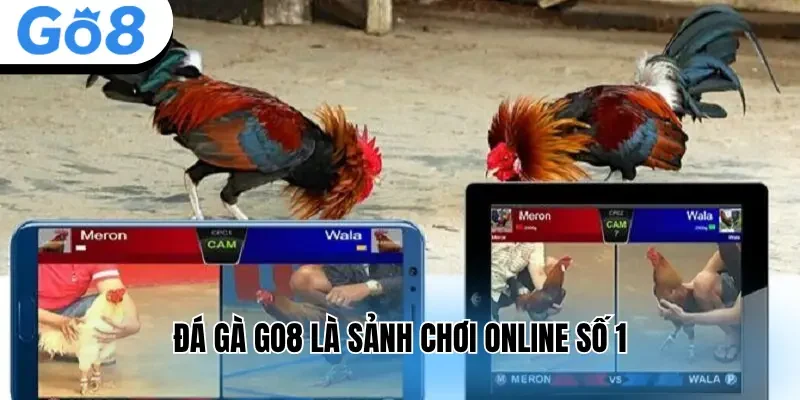 Đá gà Go8 là sảnh chơi online số 1